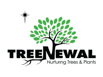 https://www.southlakechamber.org/wp-content/uploads/2022/09/TreeNewal-Logo-Artwork-w-Star.jpg