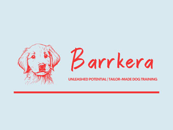 https://www.southlakechamber.org/wp-content/uploads/2025/07/BarrkeraColor.jpg