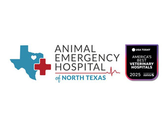https://www.southlakechamber.org/wp-content/uploads/2025/09/AEHNT_Business-Card_Award-2.jpg