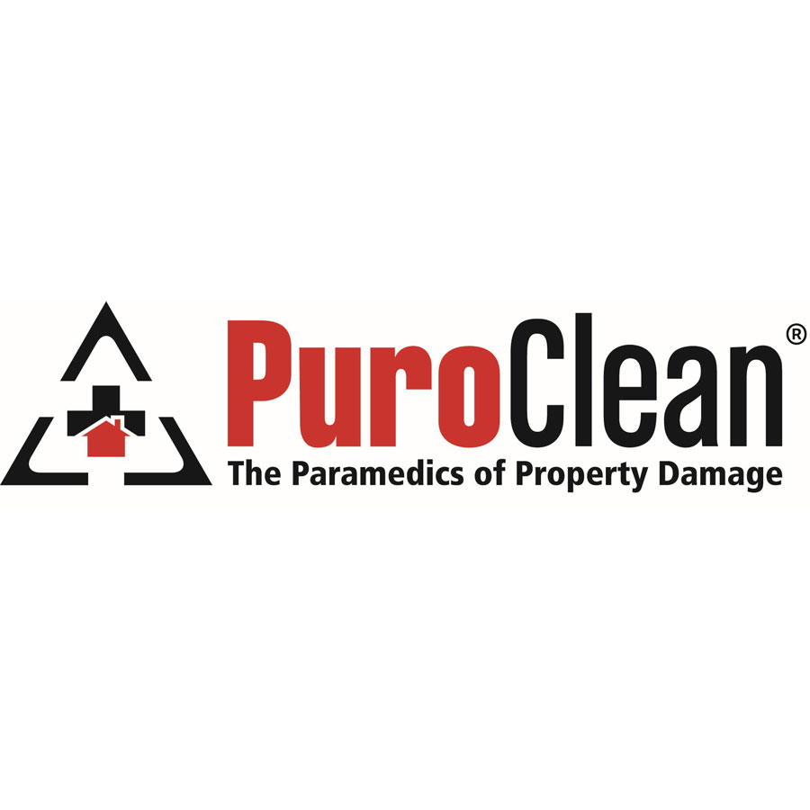 https://www.southlakechamber.org/wp-content/uploads/2026/02/PuroClean-Logo-002.jpg